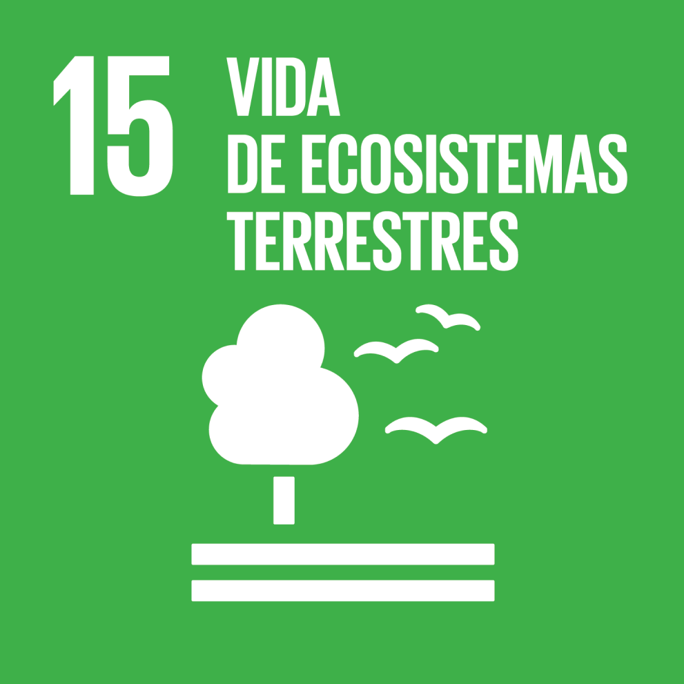 Vida de Ecosistemas Terrestres